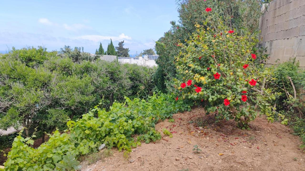 Stunning Villa With Pool, Table Tennis, Table Soccer And A Pool Table Naxxar Εξωτερικό φωτογραφία